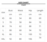 Backless Mesh Bodycon Dress