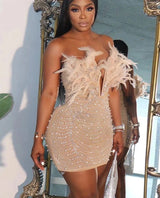 Backless Mesh Bodycon Dress