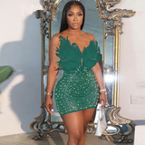 Backless Mesh Bodycon Dress
