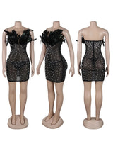 Backless Mesh Bodycon Dress
